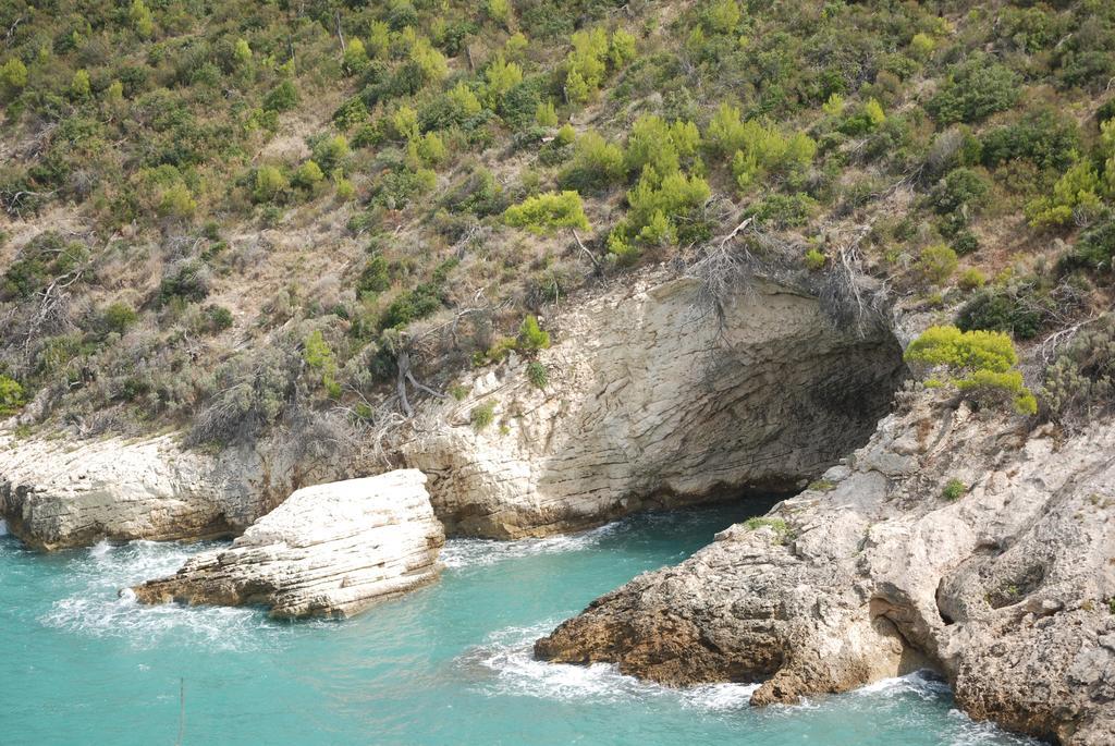 Appartamenti Euro'92 Vieste Exteriér fotografie